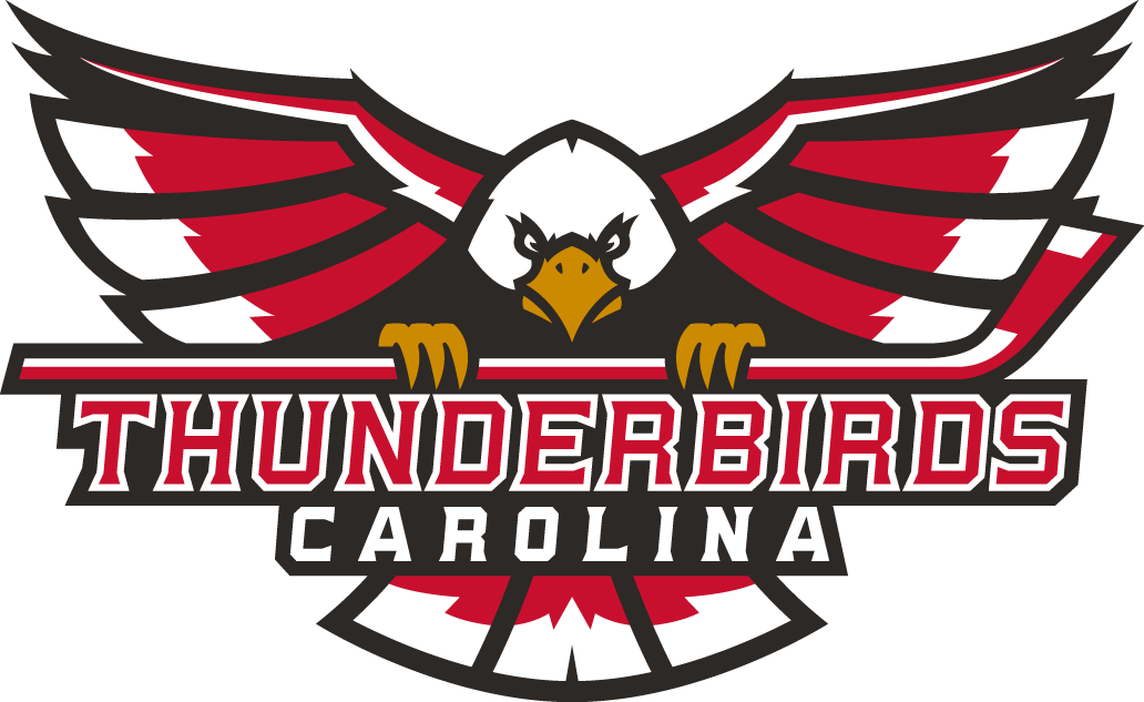 Carolina Thunderbirds 2017-Pres Primary Logo iron on heat transfer